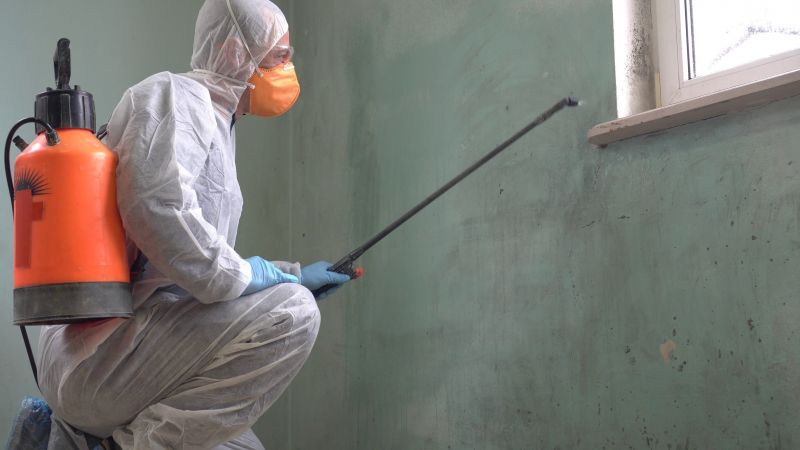 Mold Prevention Treatments