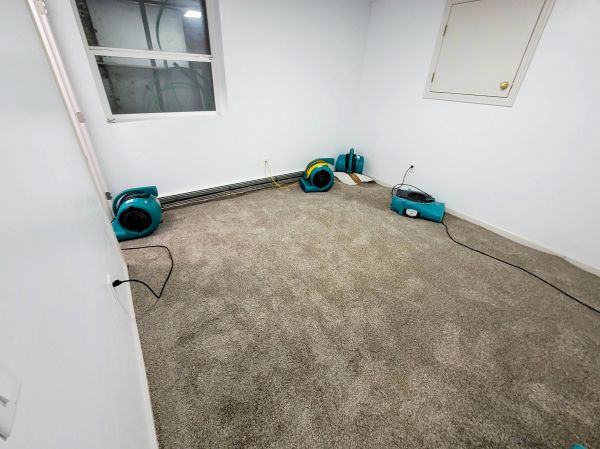 Flood Restoration Service in Alexandria